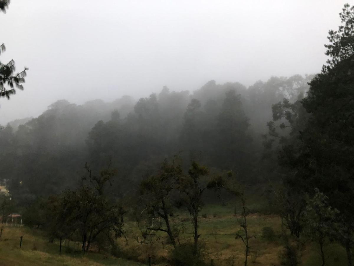 Cabana Romantica En El Bosque! Acaxochitlán Buitenkant foto